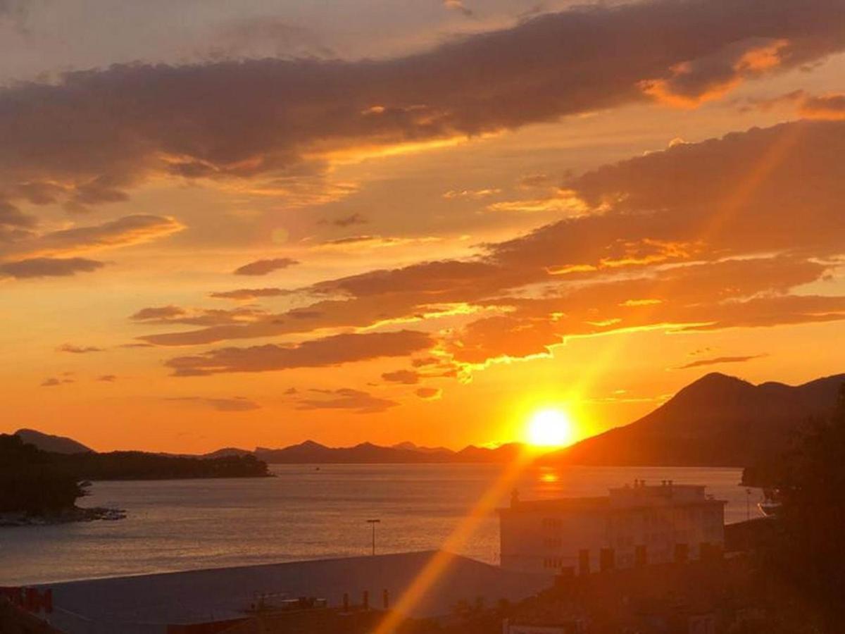 Tayra * Dubrovnik